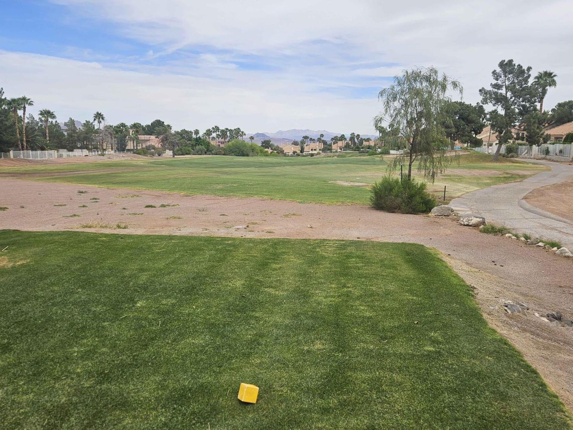 (Photo submitted by u314161622535 on 04/06/2026)