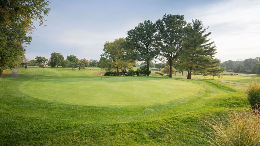 Colonia CC: #10