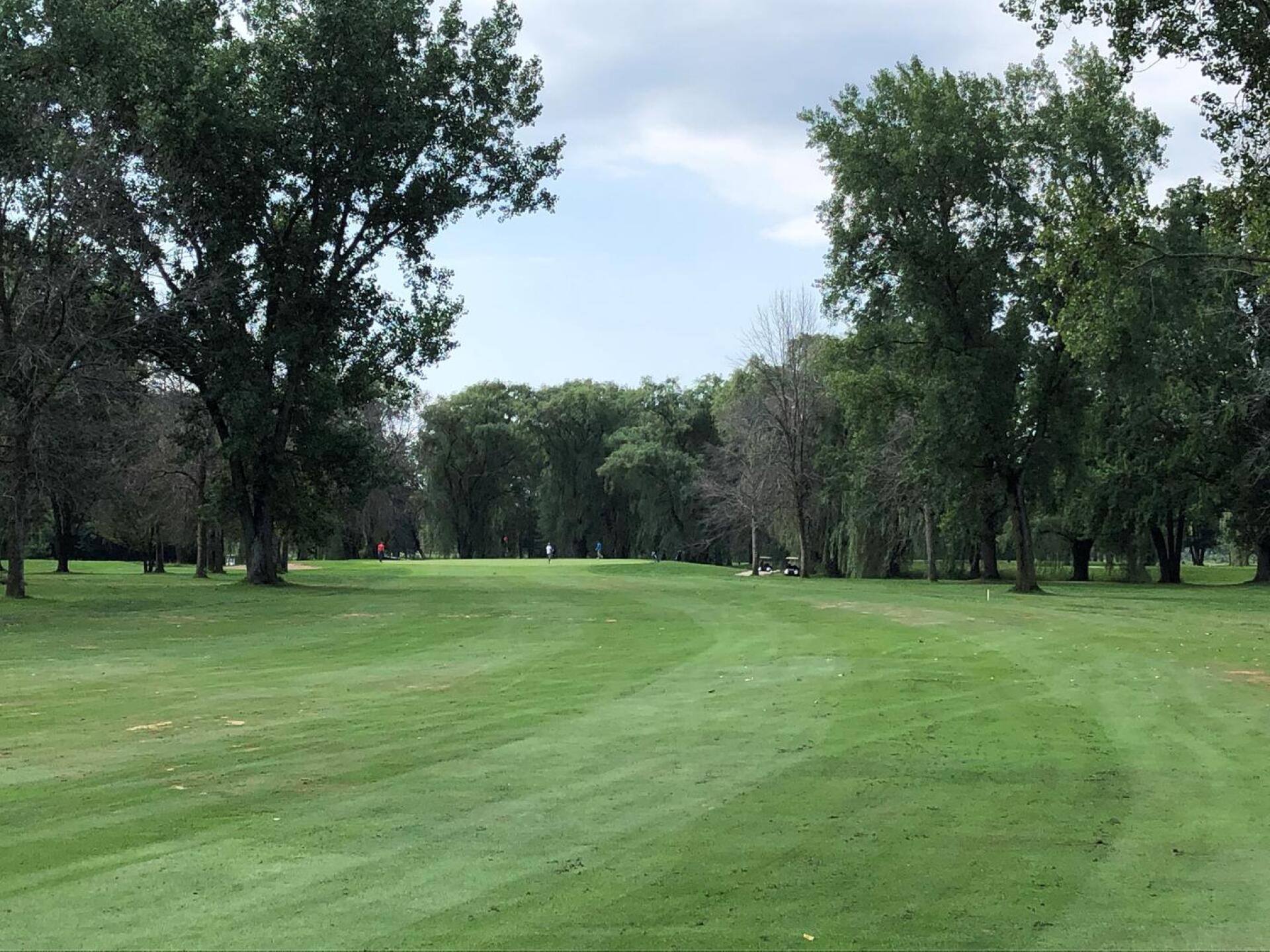 #7 (Photo submitted by Kale1523211 on 08/10/2020)