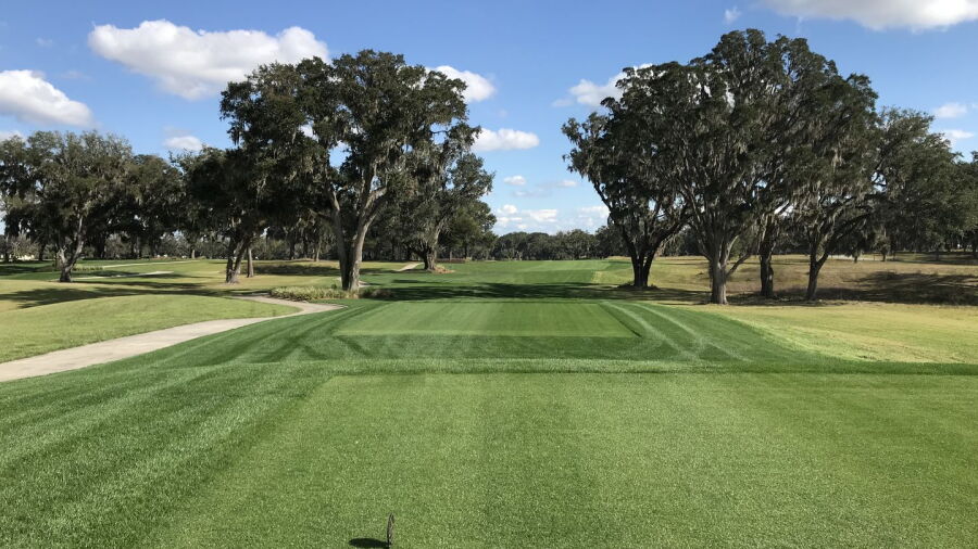 Adena Golf & Country Club: #12