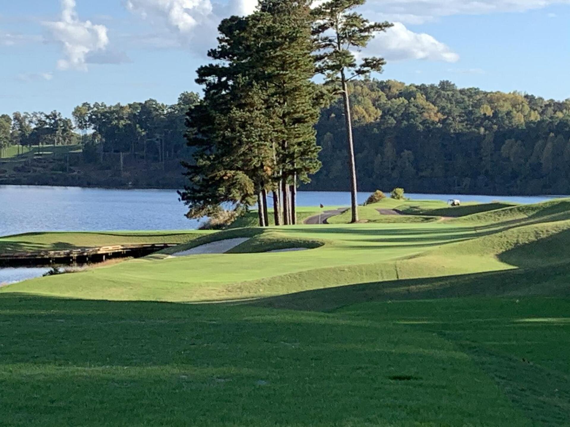 piedmont driving club scandal