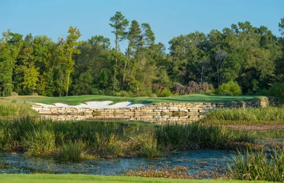 Whispering Pines GC - The Needler: #2