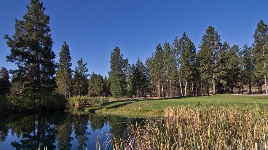 Awbrey Glen Golf Club - 7th green