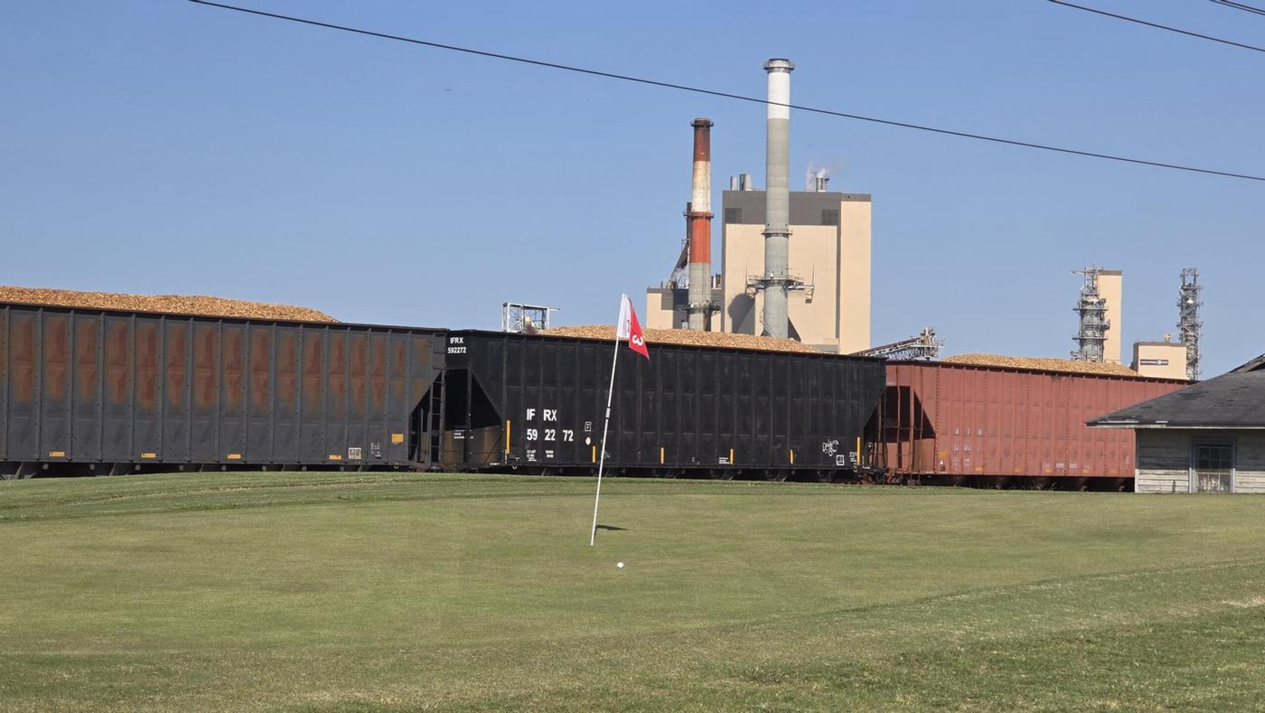 (Photo submitted by pswanno on 10/16/2024)