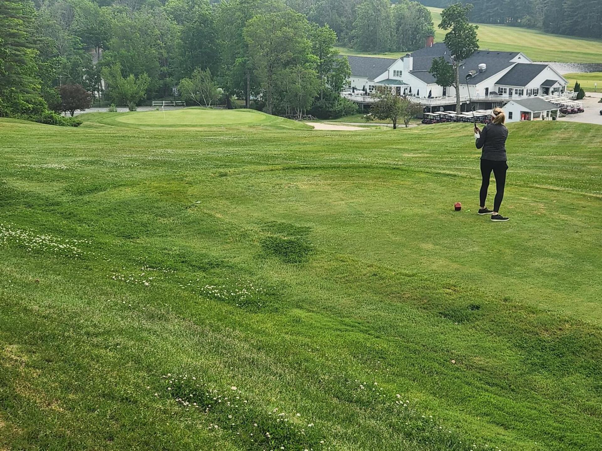 (Photo submitted by u314160868487 on 06/09/2023)