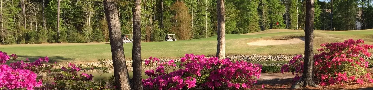 River Oaks Golf Plantation