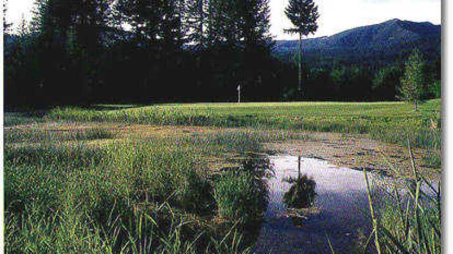 Elkhorn GC: #11