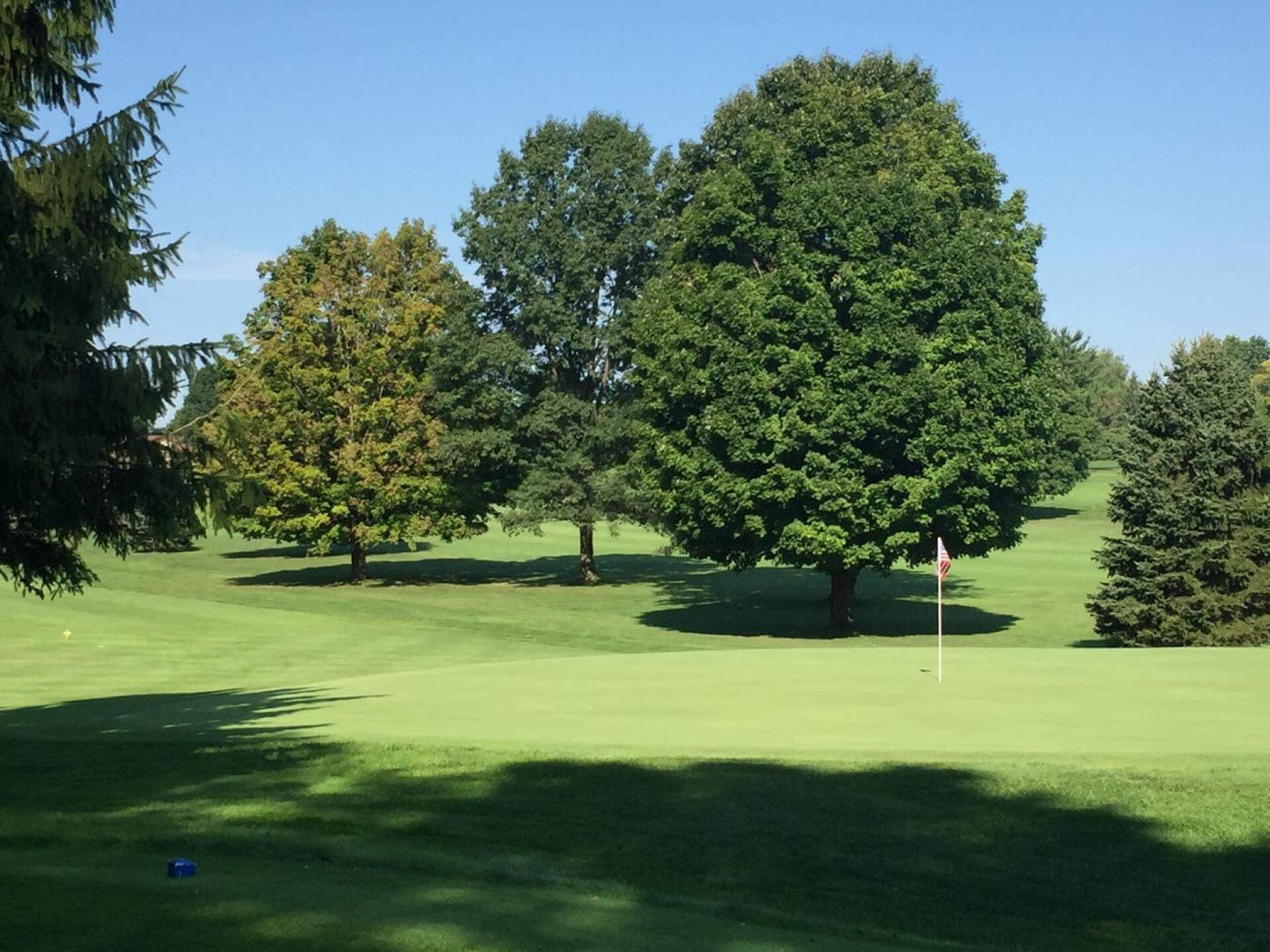 (Photo submitted by henchman on 09/07/2016)