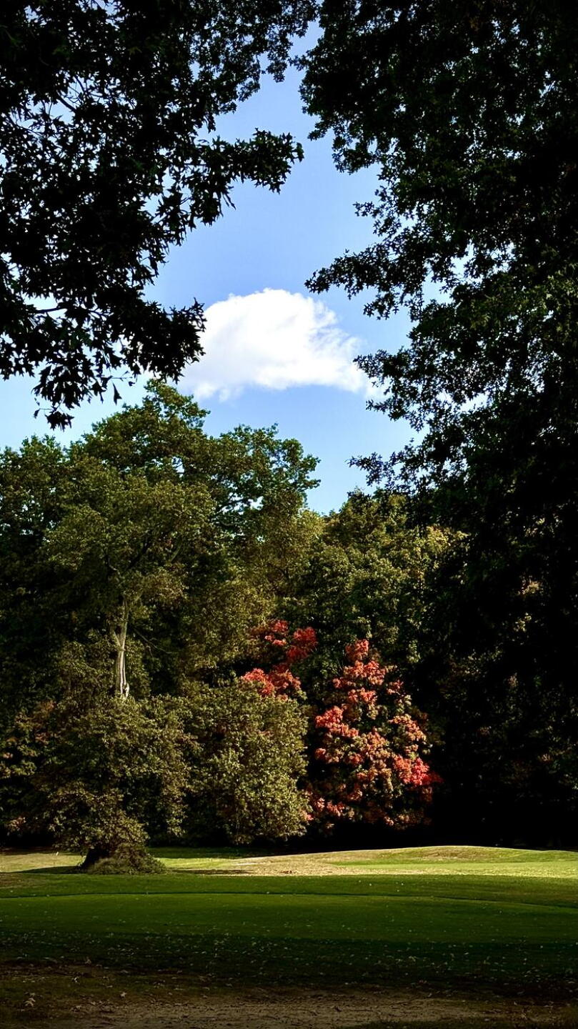 How beautiful! (Photo submitted by jeeminnlee on 10/17/2024)