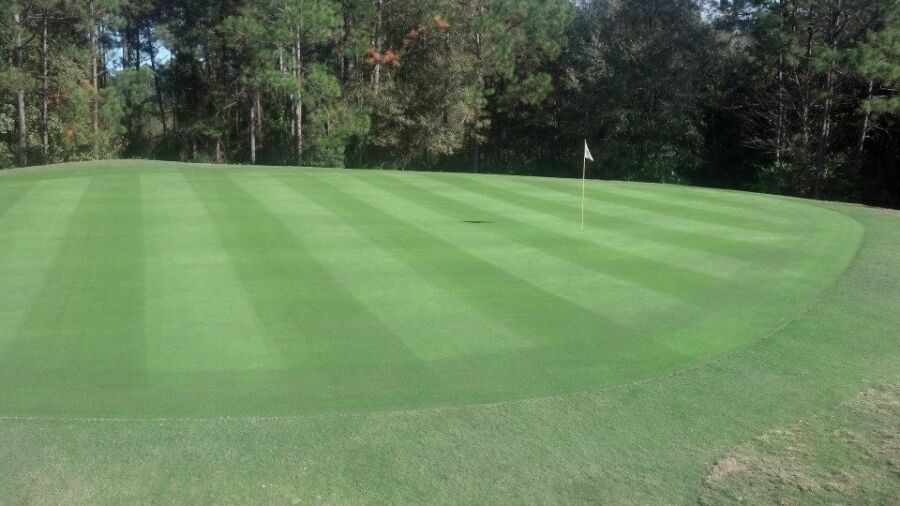 Lakes GC at Laura Walker State Park