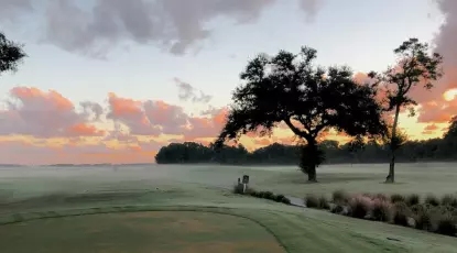 Omni Amelia Island Plantation - Oak Marsh 