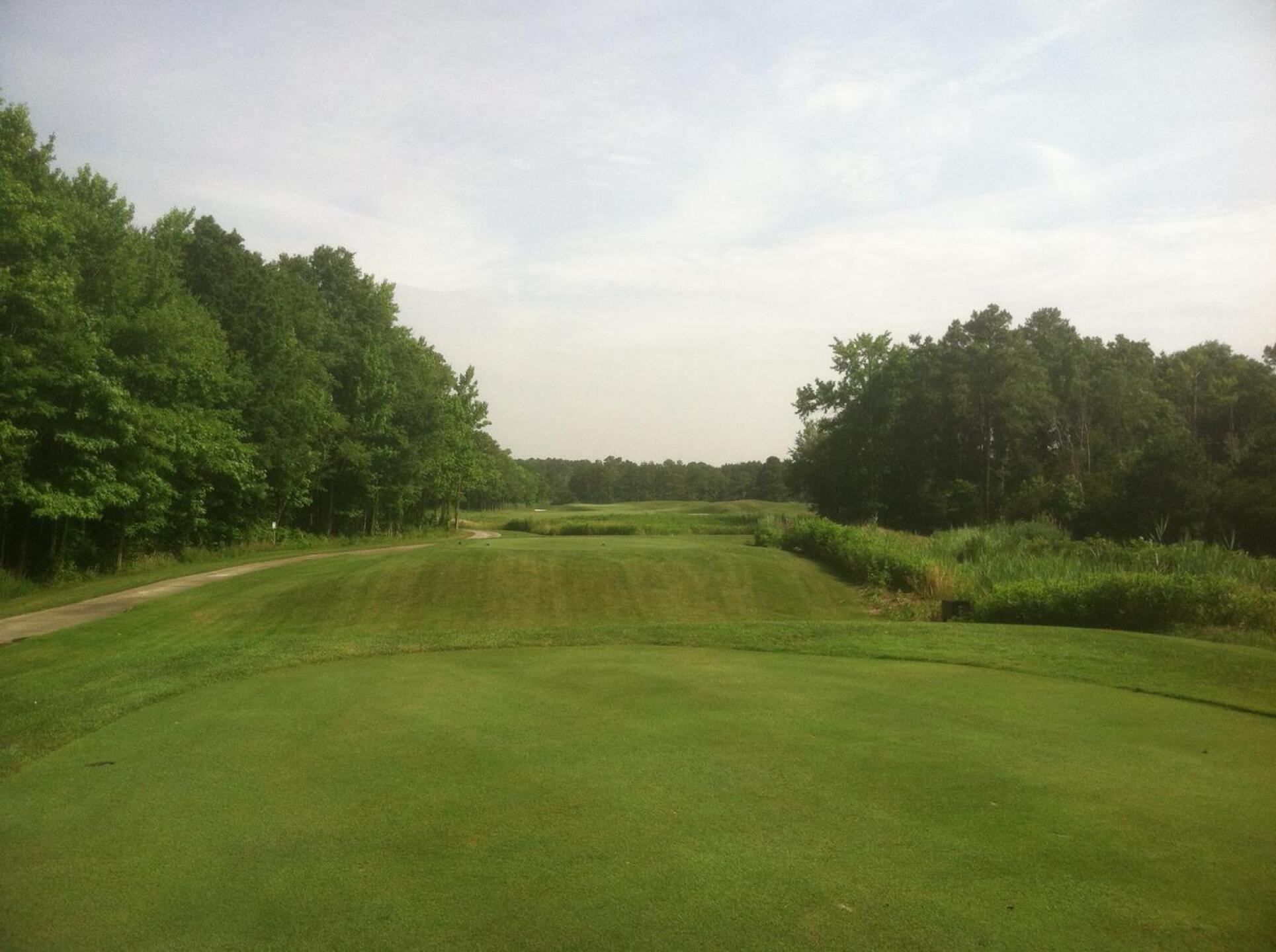 (Photo submitted by Ricstee on 12/31/2015)