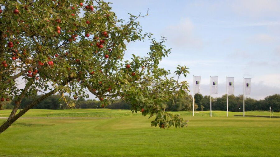 Saliena Golf