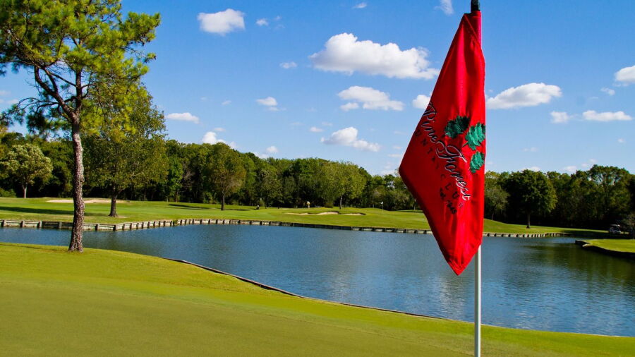 Pine Forest CC