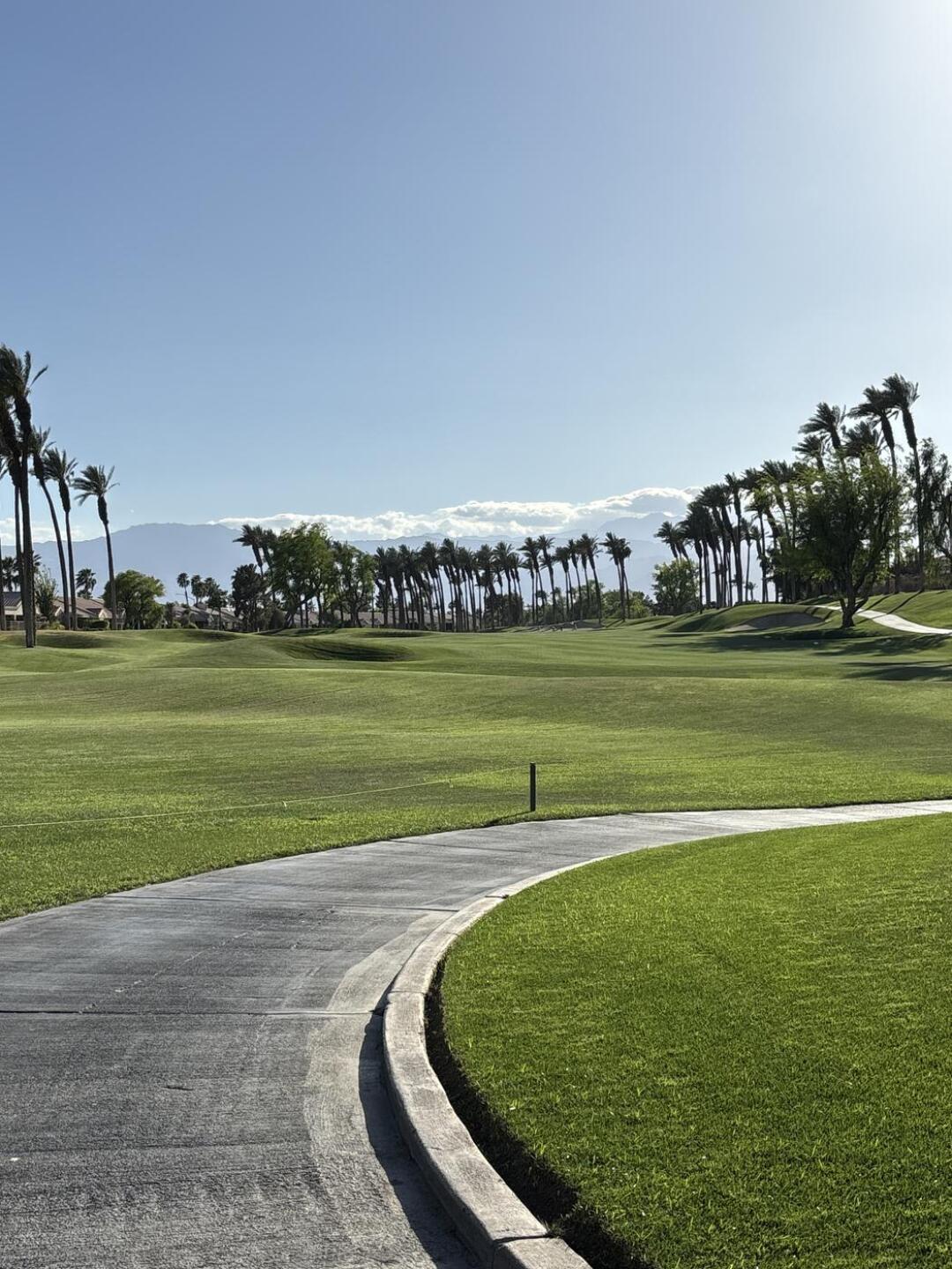 (Photo submitted by u000001279704 on 04/01/2026)