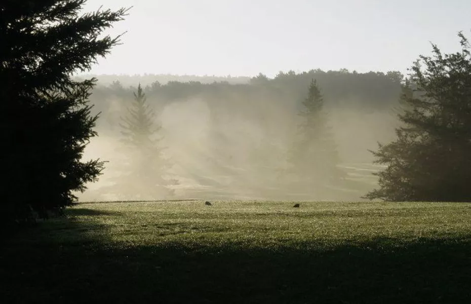 Oak Hills GC - Glen: #1