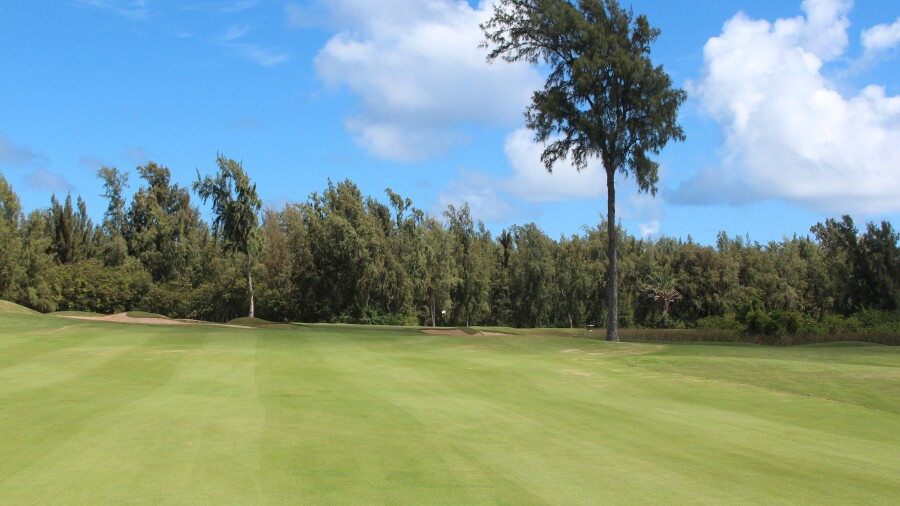 Turtle Bay Resort - Palmer G.C. - 10th