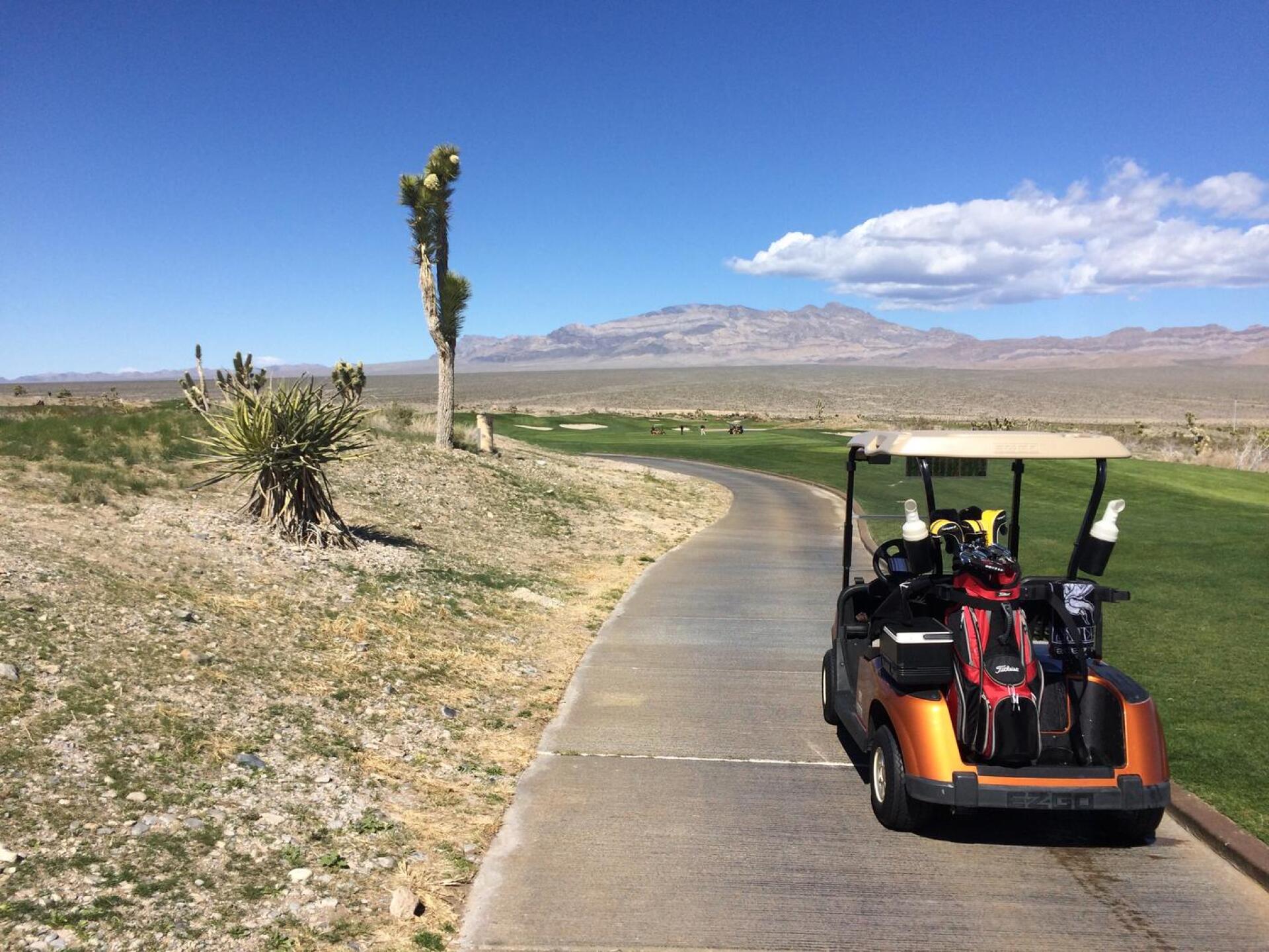 (Photo submitted by TomLinde on 03/18/2016)