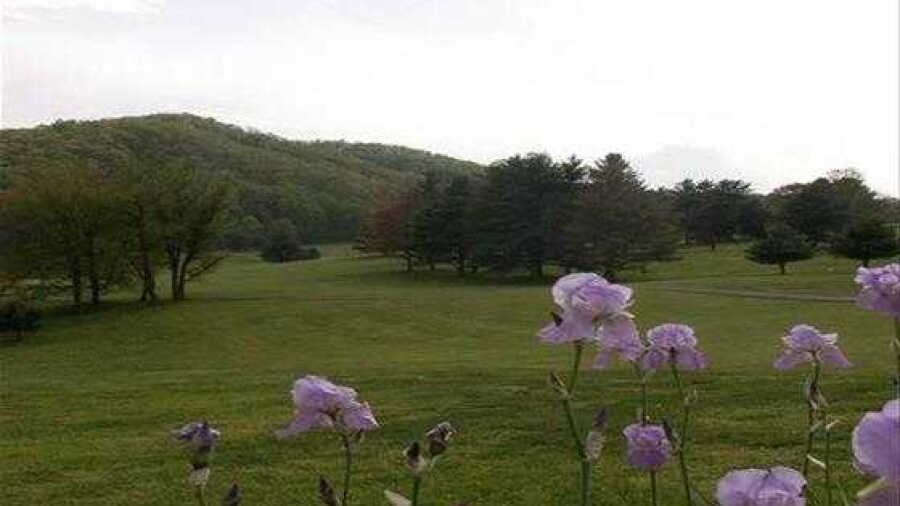 Steel Creek GC