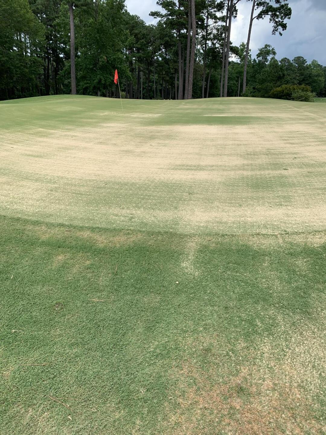 (Photo submitted by u314160509842 on 07/10/2022)