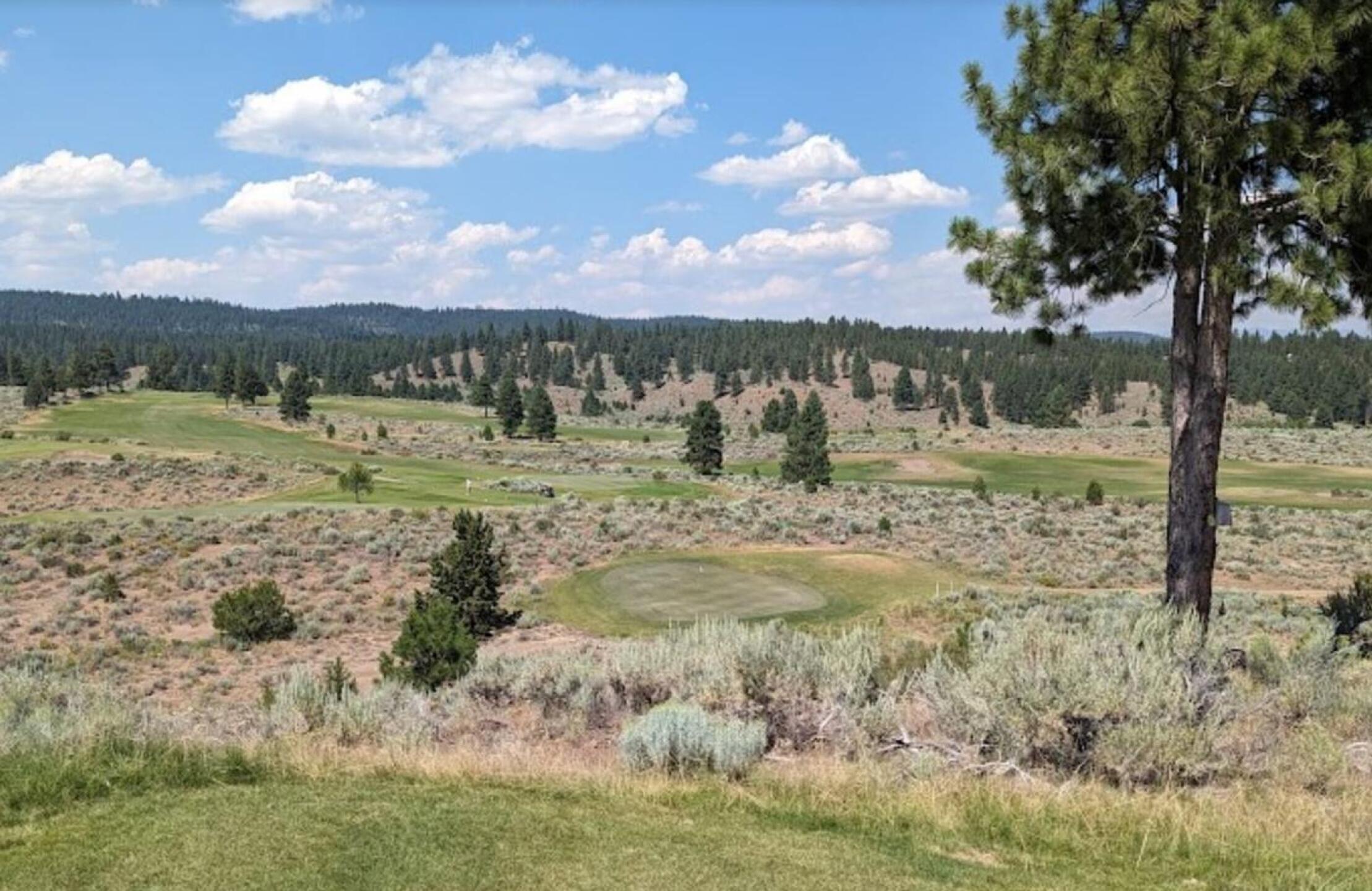 (Photo submitted by sorenj on 07/28/2023)