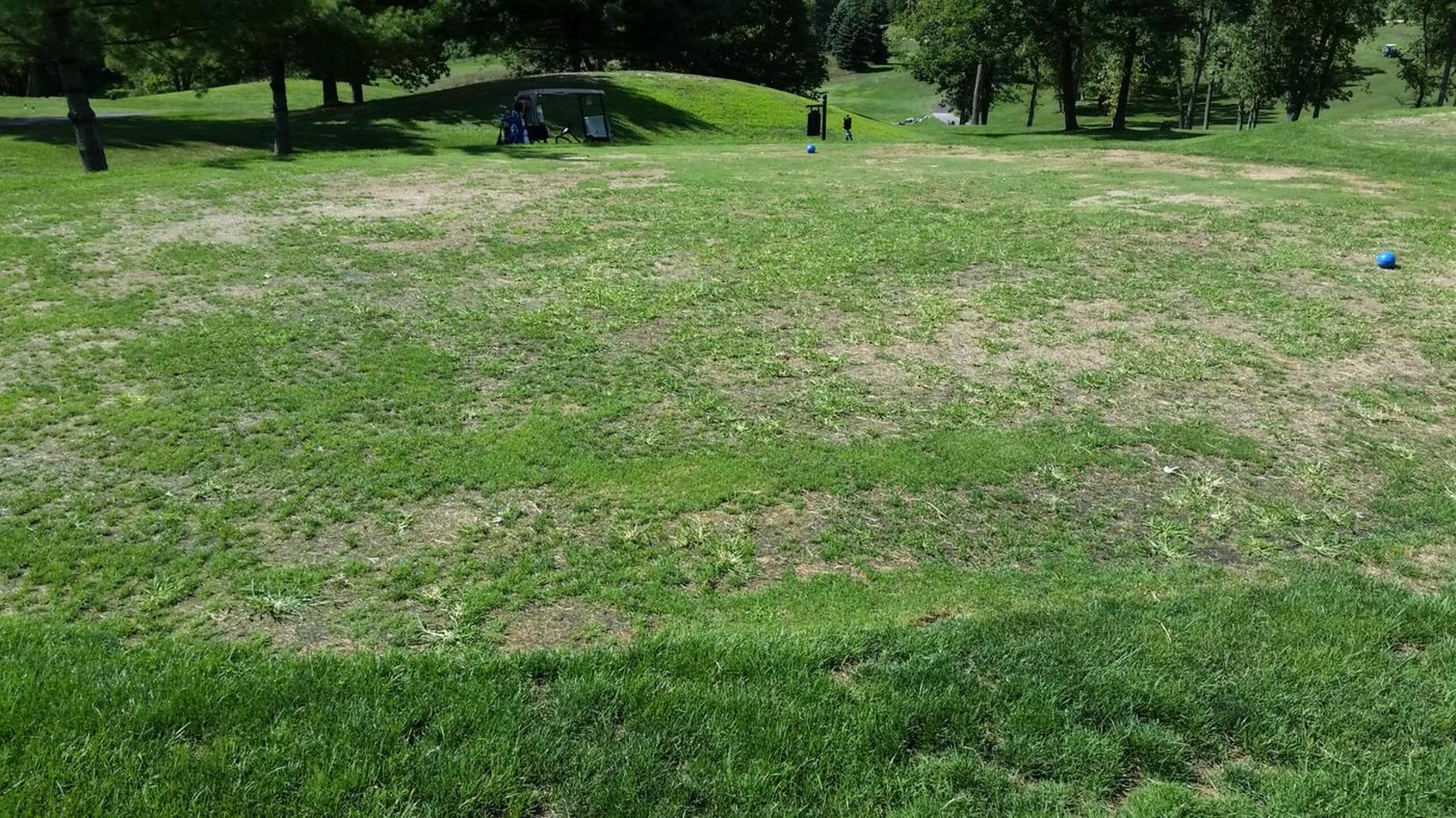 Tee Box (Photo submitted by WoodsonGoBlue on 08/23/2016)