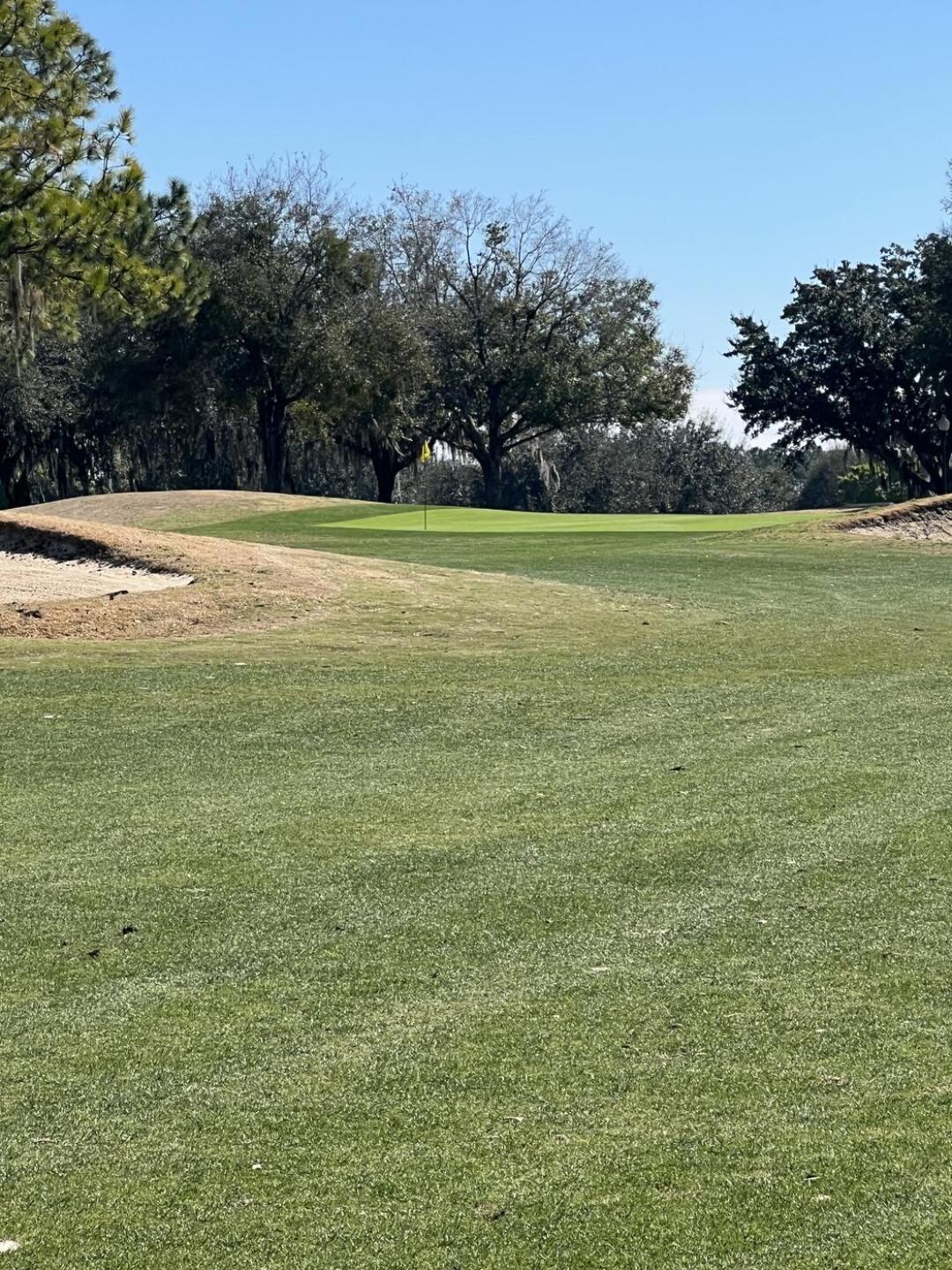 (Photo submitted by lamachina125 on 02/10/2022)