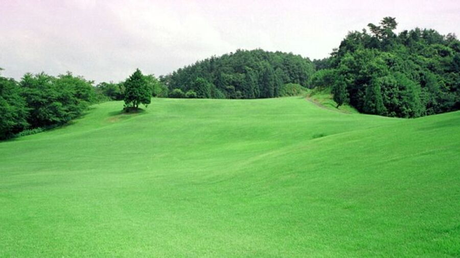 Nara Public GC: #10
