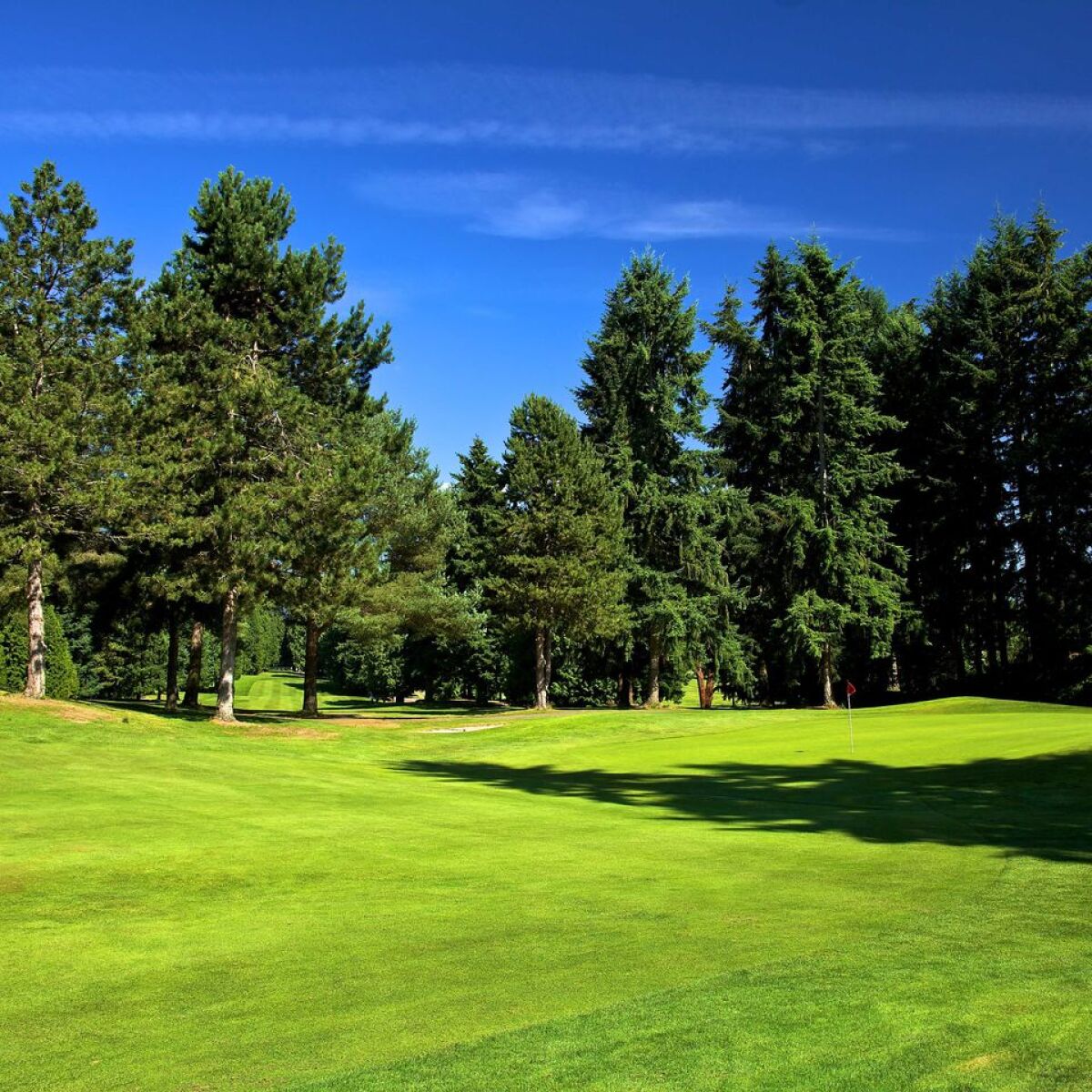 Bellevue Municipal Golf Course in Bellevue, Washington, USA GolfPass