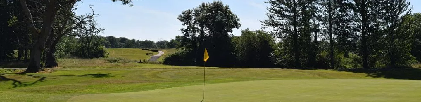 New Forest Golf: #11