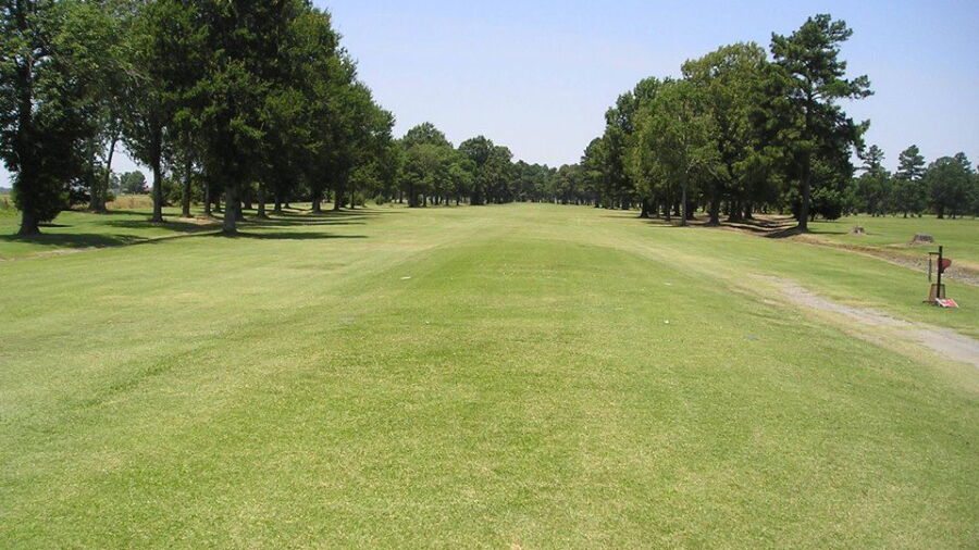Pines GC: #1