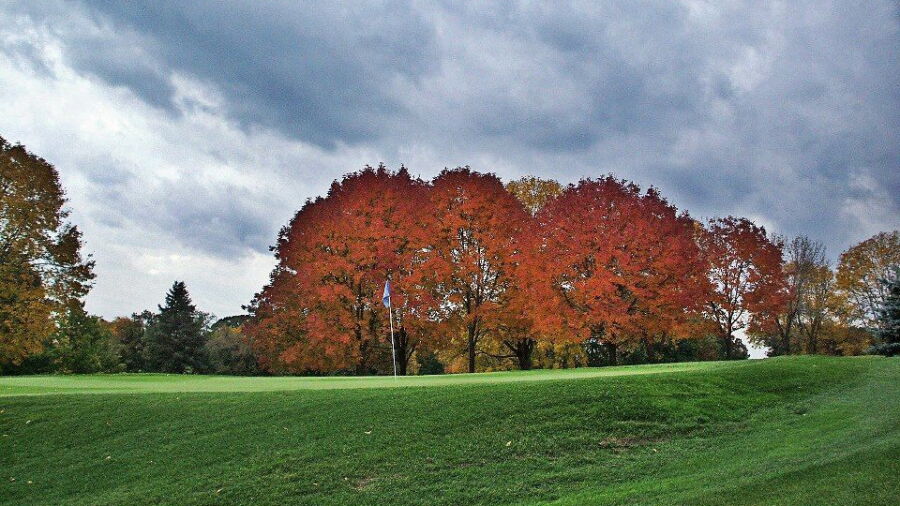Janesville CC