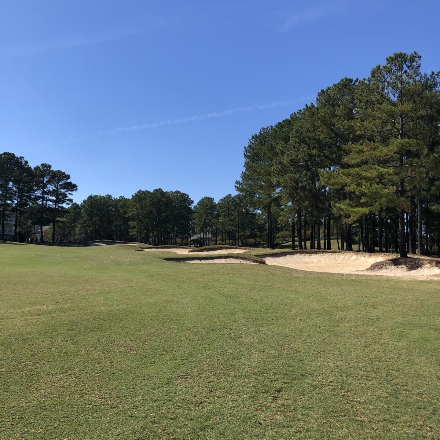 (Photo submitted by blamege on 10/17/2022)