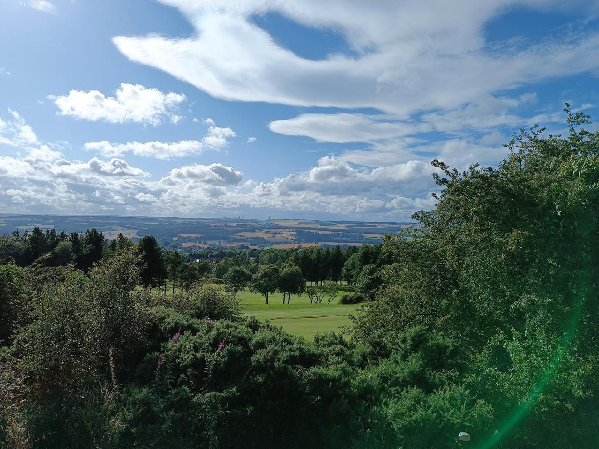 (Photo submitted by u314162564596 on 07/31/2023)