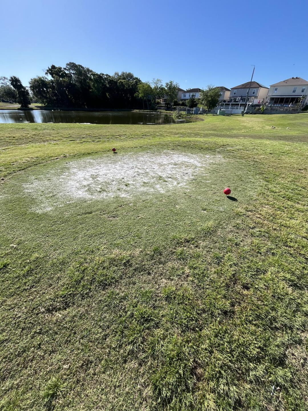 Tee box?  Yep. Good luck with your footing. (Photo submitted by u314162513353 on 04/12/2024)