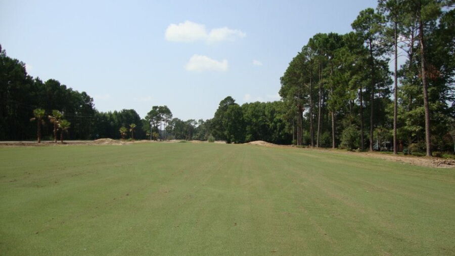 The Palms Course