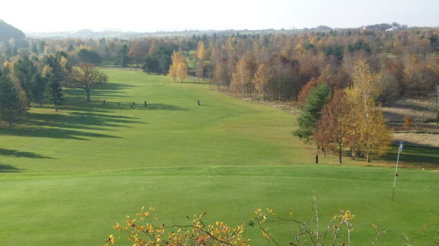 Vale GCC - International: #8