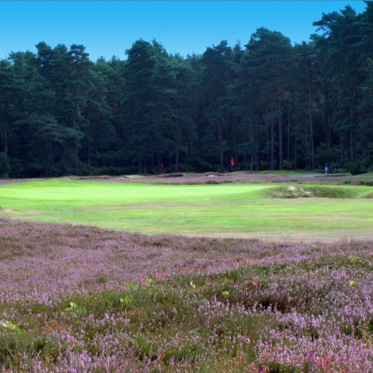 New Zealand Golf Club in Woodham, Woking, England GolfPass