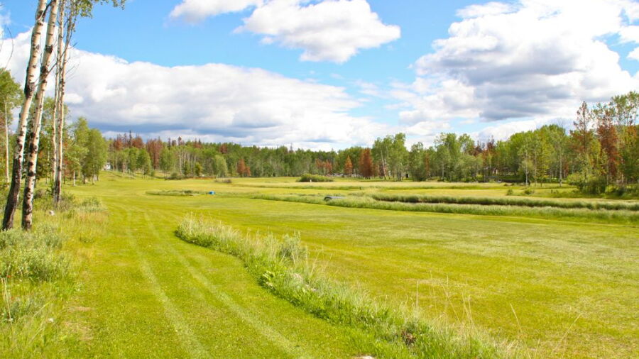 Tin Cup Greens GC