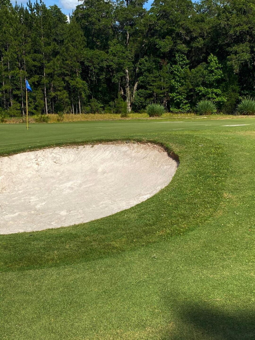 A look at the framing of the bunker on the 16th green (Photo submitted by PinnacleStaffer on 05/14/2020)