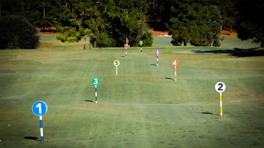 Longleaf Initiative Range