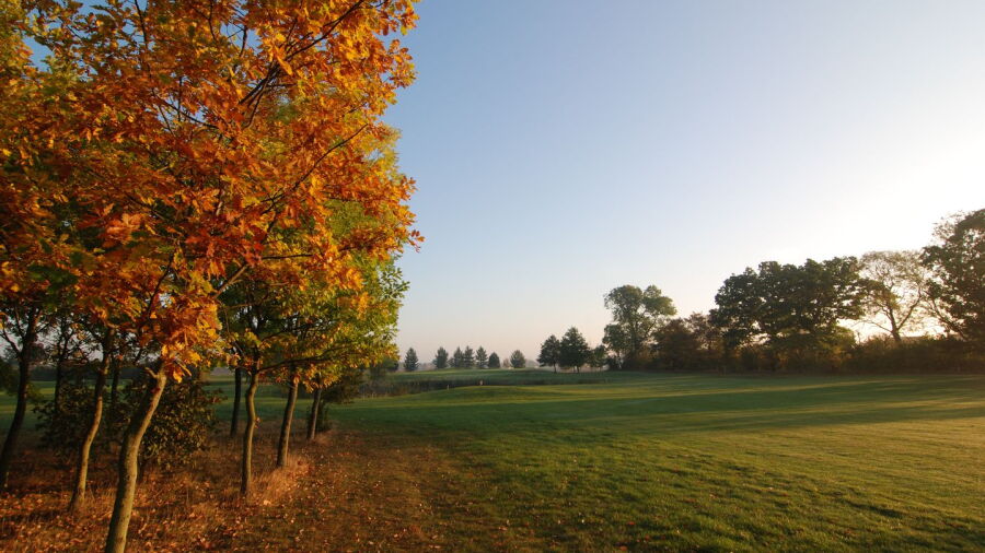 Mount Pleasant GC: #13