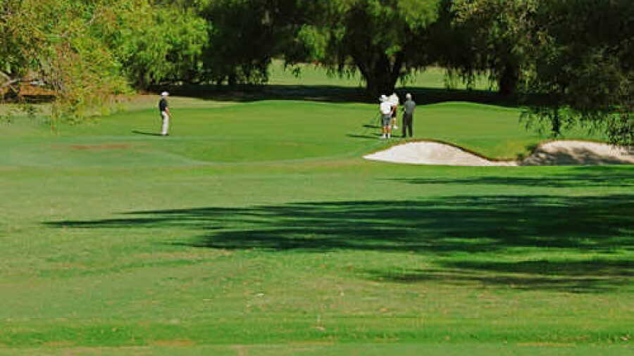 Mount Lawley GC: #13
