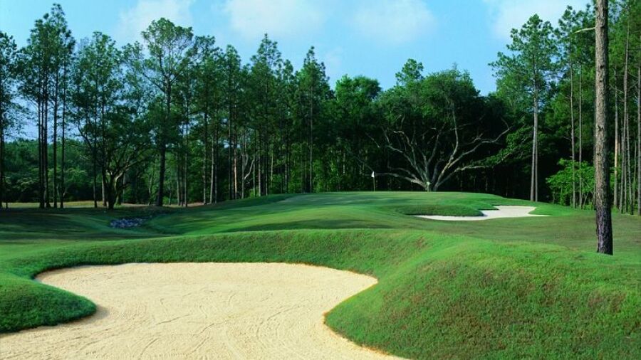 The Oaks GC: #6