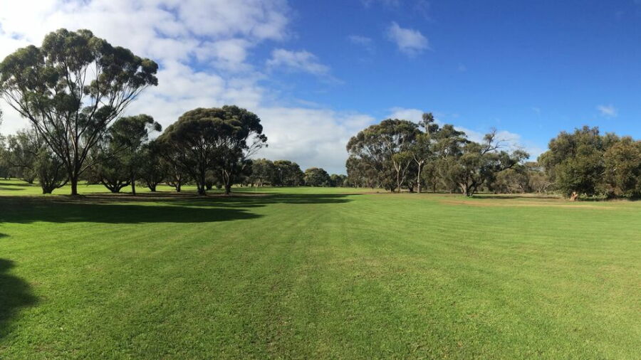 Cummins GC: #15