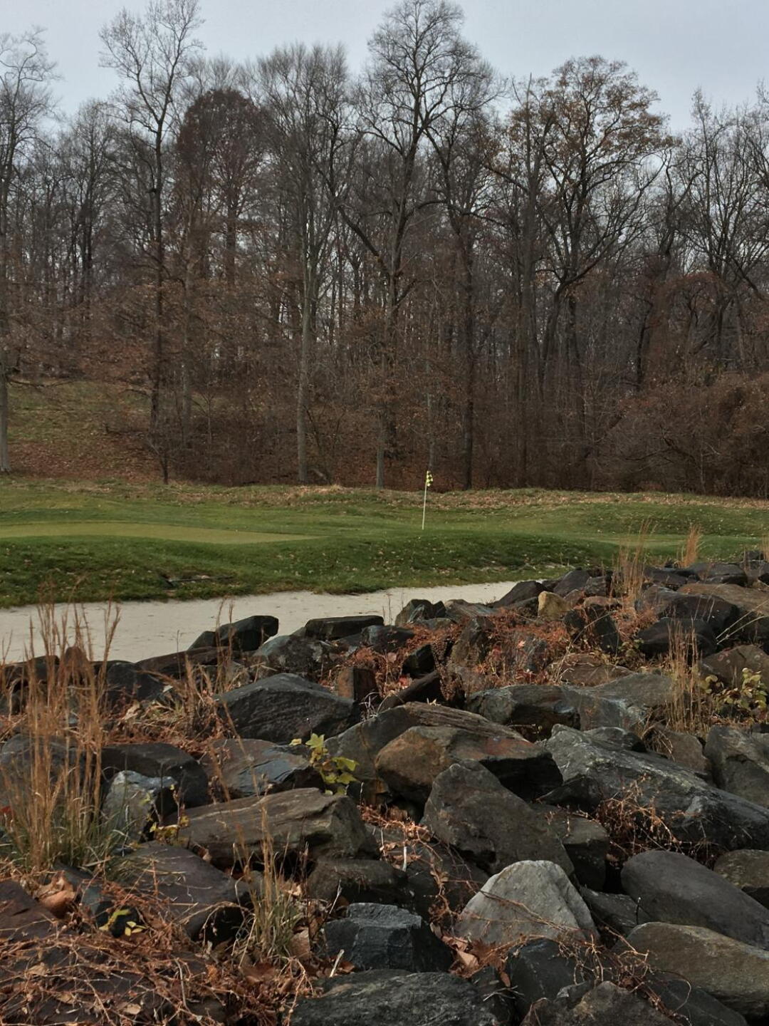 Par-3 17th hole (Photo submitted by BrandonWebb on 12/05/2019)