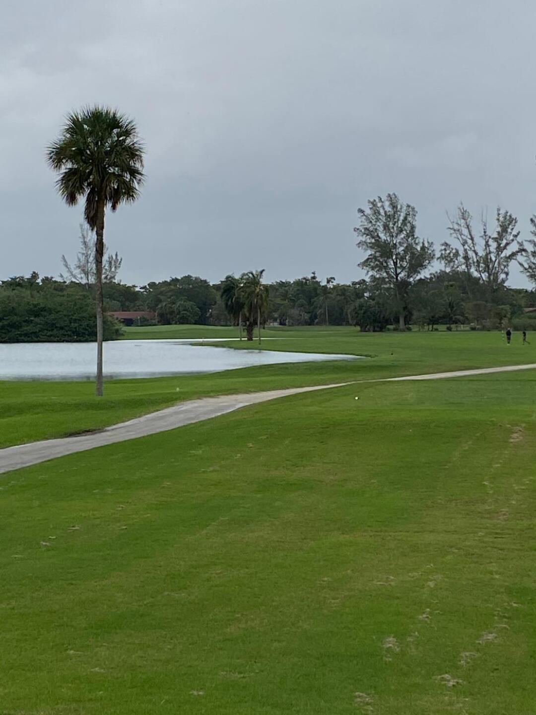 (Photo submitted by PinnacleStaffer on 12/30/2019)