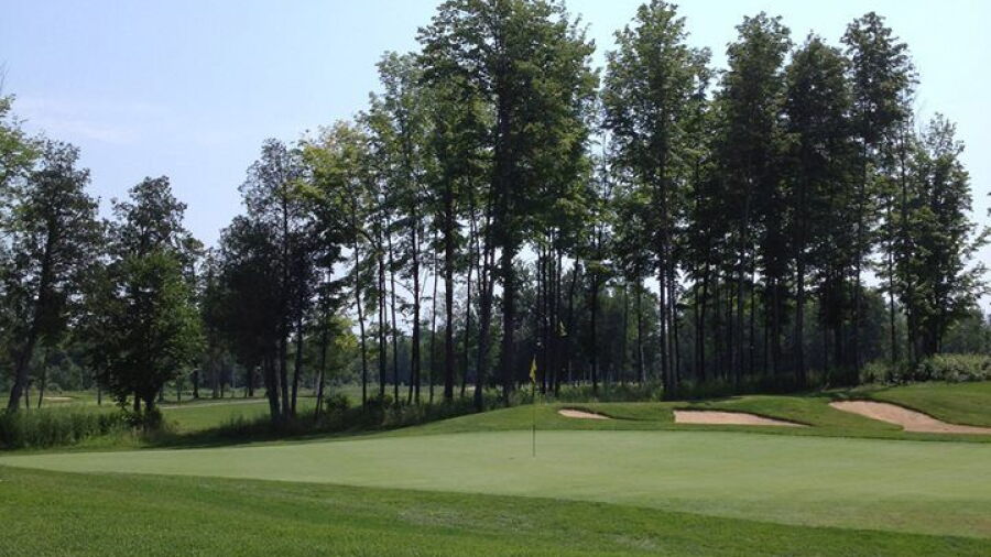 eQuinelle GC