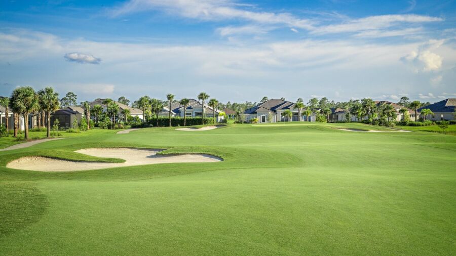 Babcock National: #11
