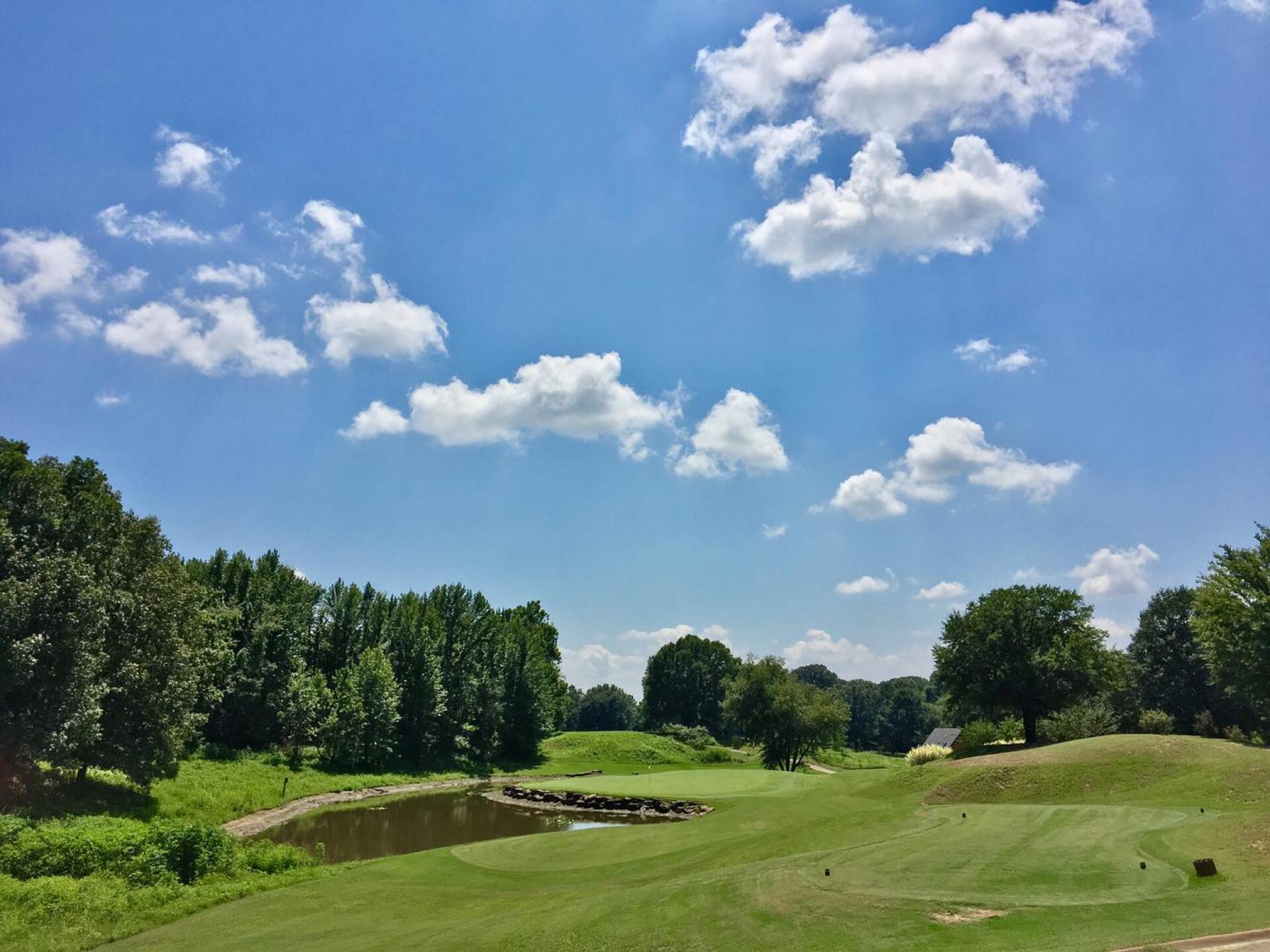 Par 3, 13th hole (Photo submitted by BrandonWebb on 07/07/2017)